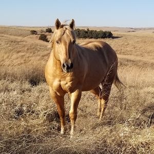 Meet your Posher, Lori